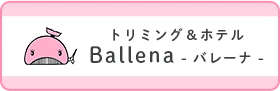 トリミング＆ホテル Ballena -バレーナ-