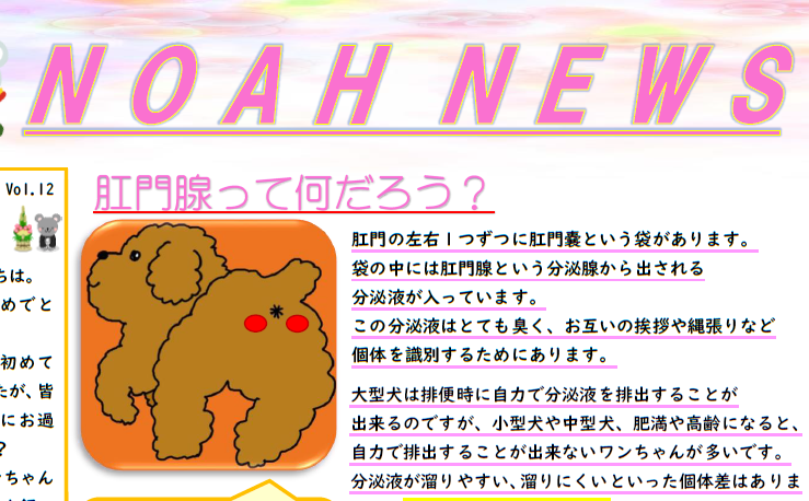 ＜月刊＞NOAH　NEWS　1月号
