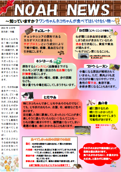 <月刊>ＮＯＡＨ　ＮＥＷＳ 2月号