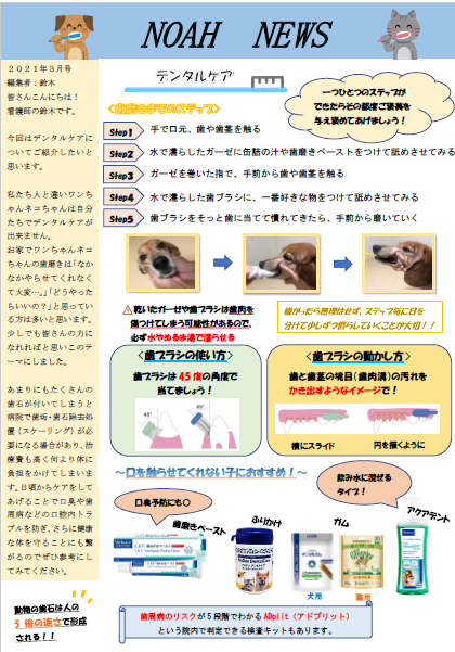 <月刊>NOAH　NEWS　3月号