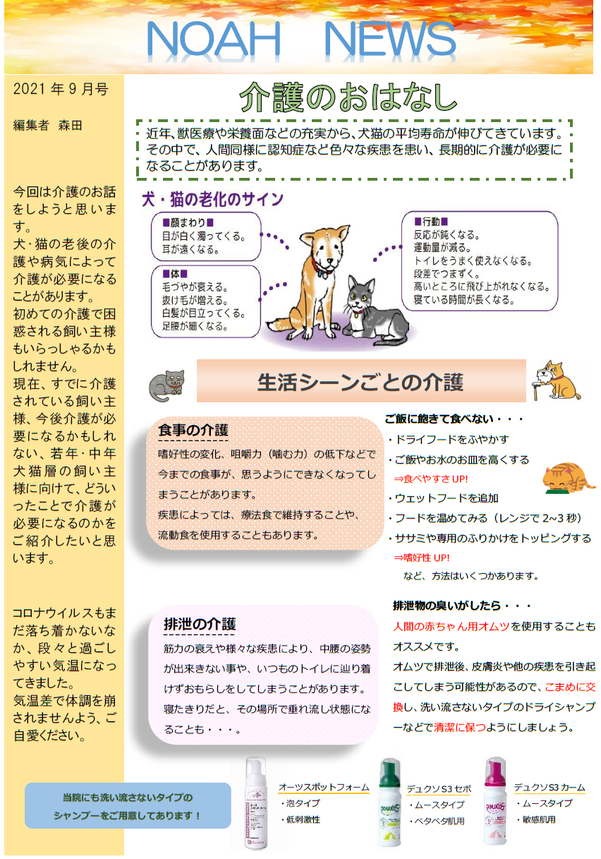 《月刊》NOAH NEWS　9月号