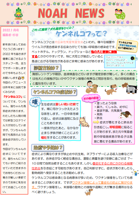 <月刊NOAH NEWS 1月号>