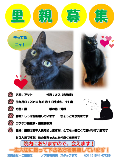 里親募集中です！