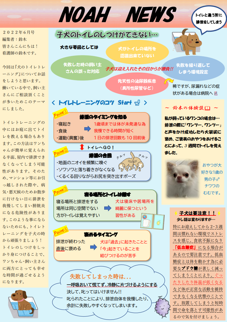 <月刊>NOAH　NEWS　６月号
