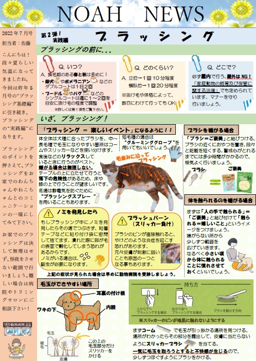 <月刊>NOAH　NEWS　7月号