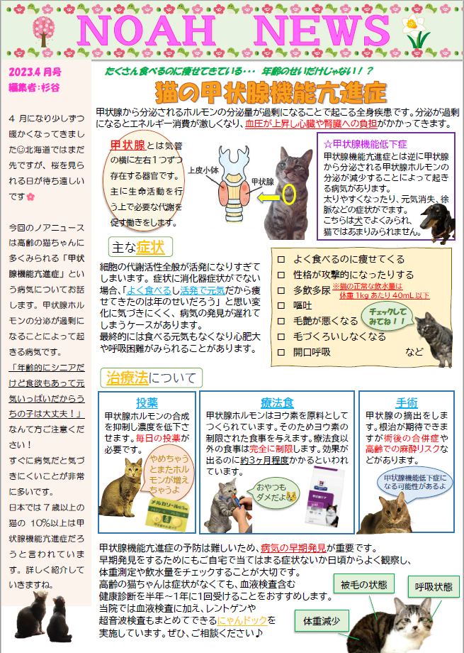 ＜月刊＞NOAH NEWS　４月号