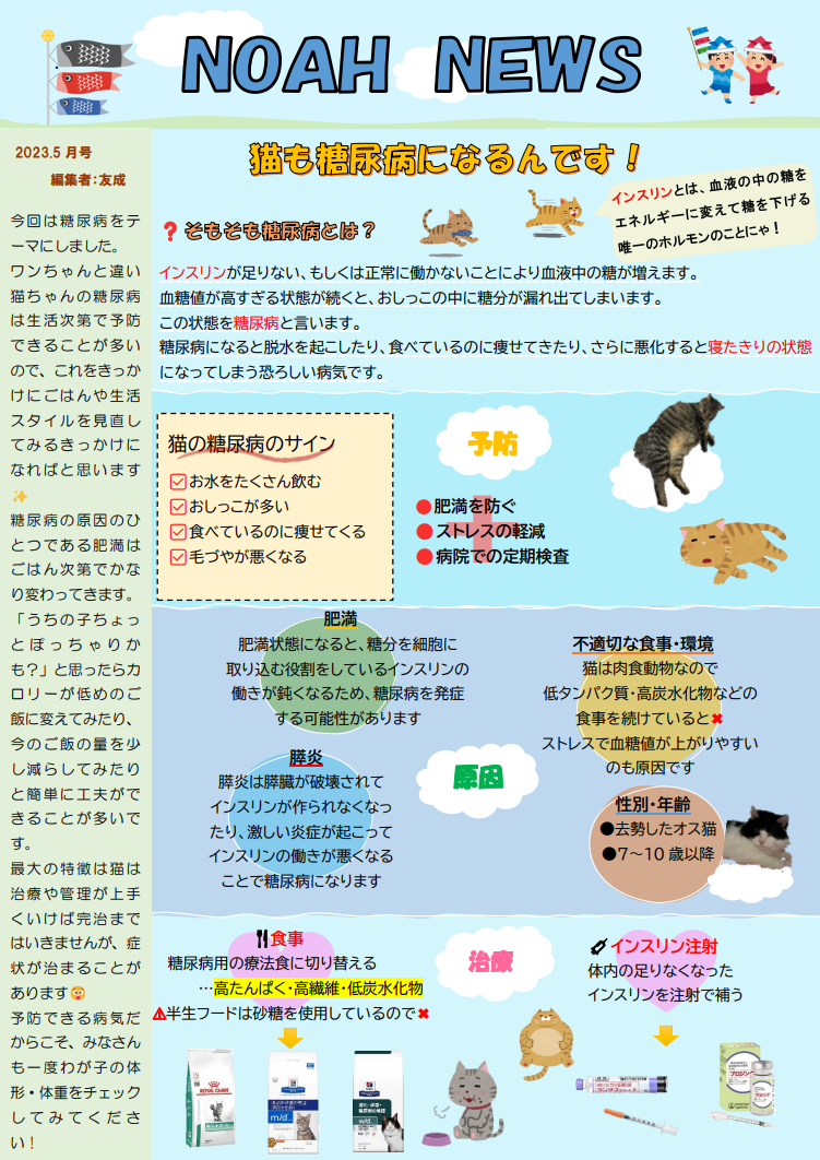 <月刊 NOAH NEWS 5月号>
