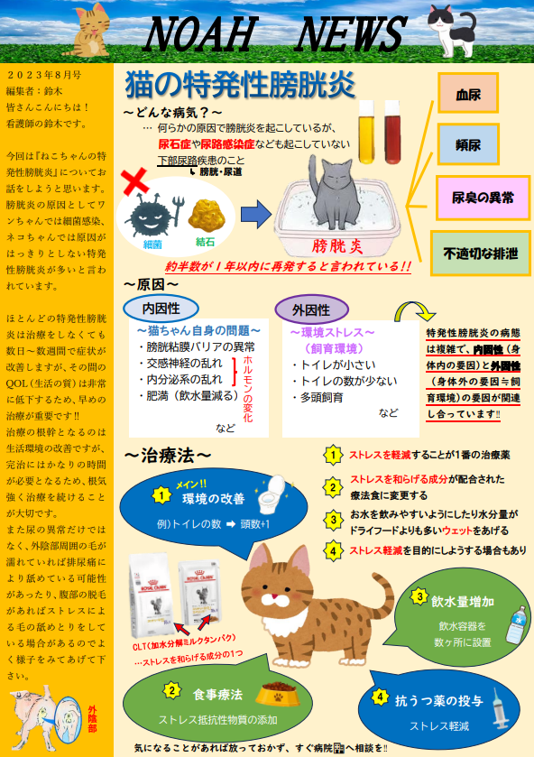＜月刊　NOAH　NEWS　8月号＞
