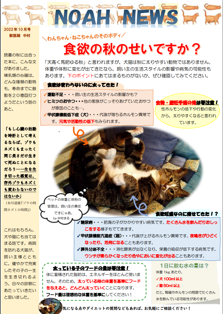 <月刊>NOAH　NEWS　10月号