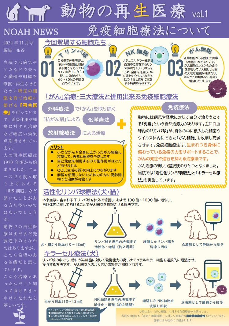 <月刊>NOAH　NEWS　11月号