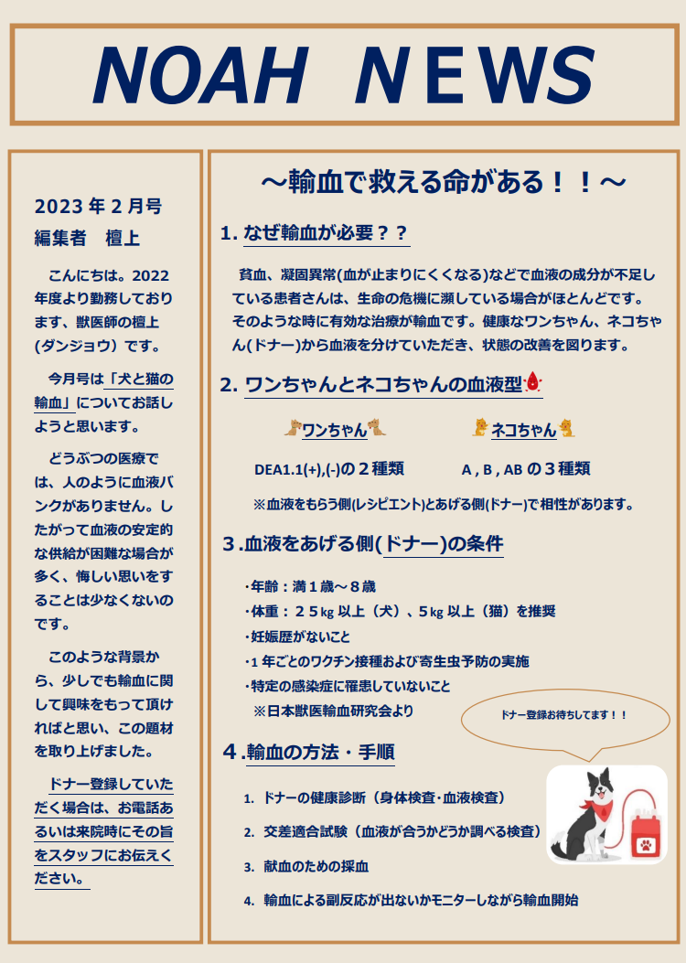 <月刊>NOAH　NEWS　2023年 2月号