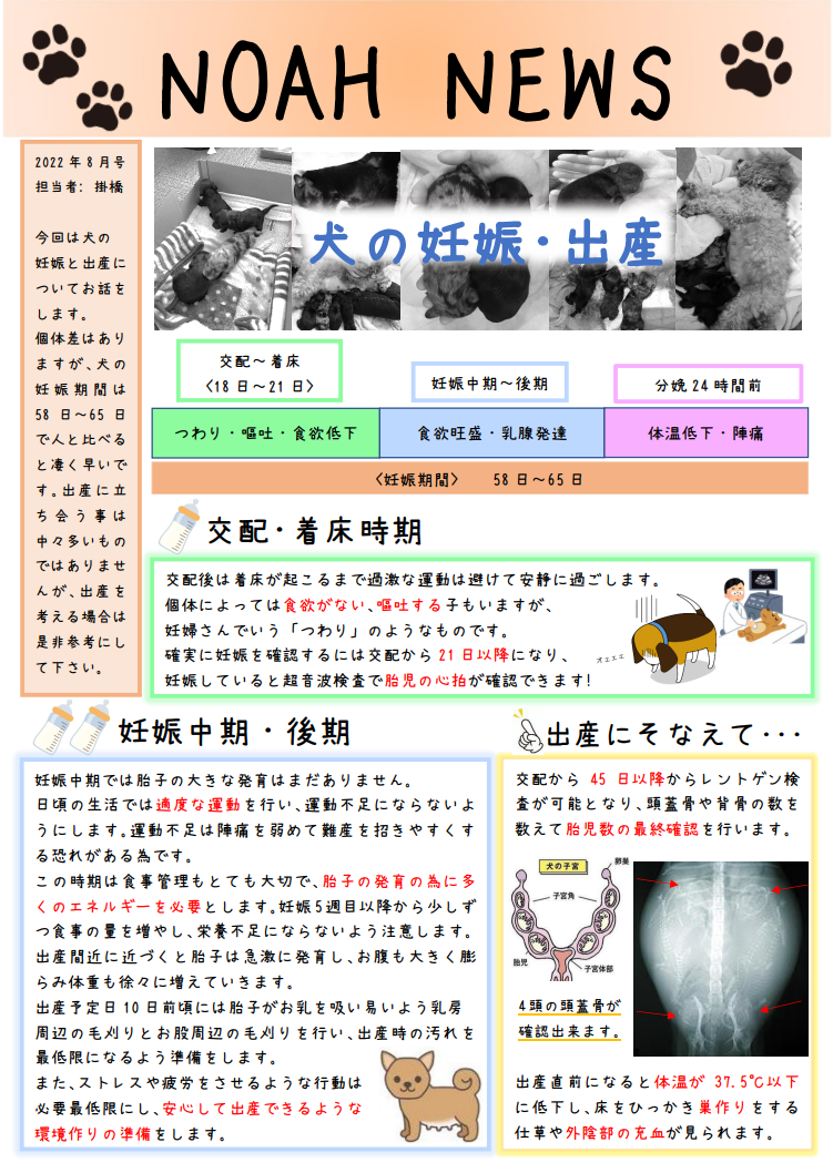 <月刊>NOAH　NEWS　8月号