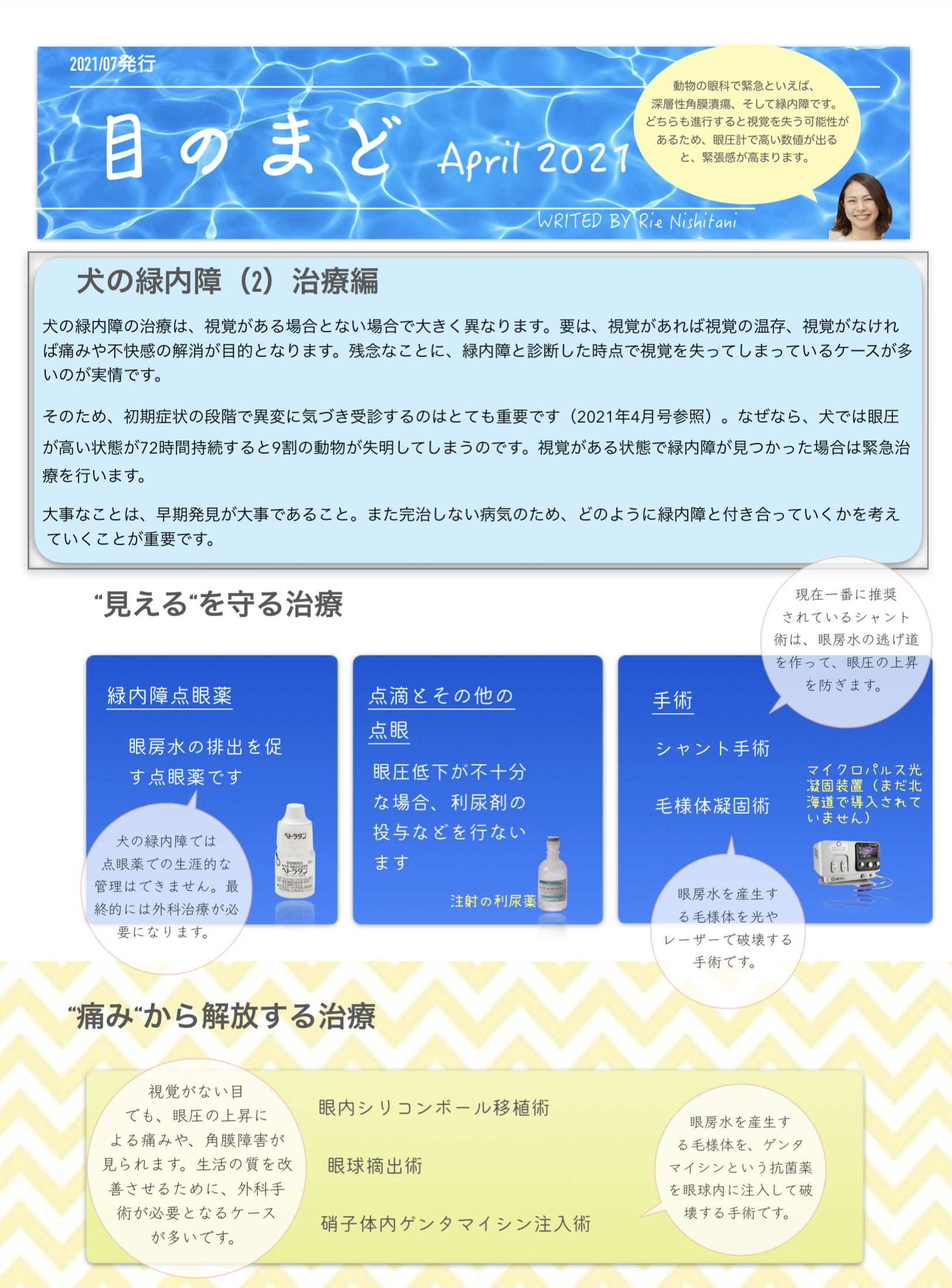 〈眼科コラム〉　目のまど　7月号