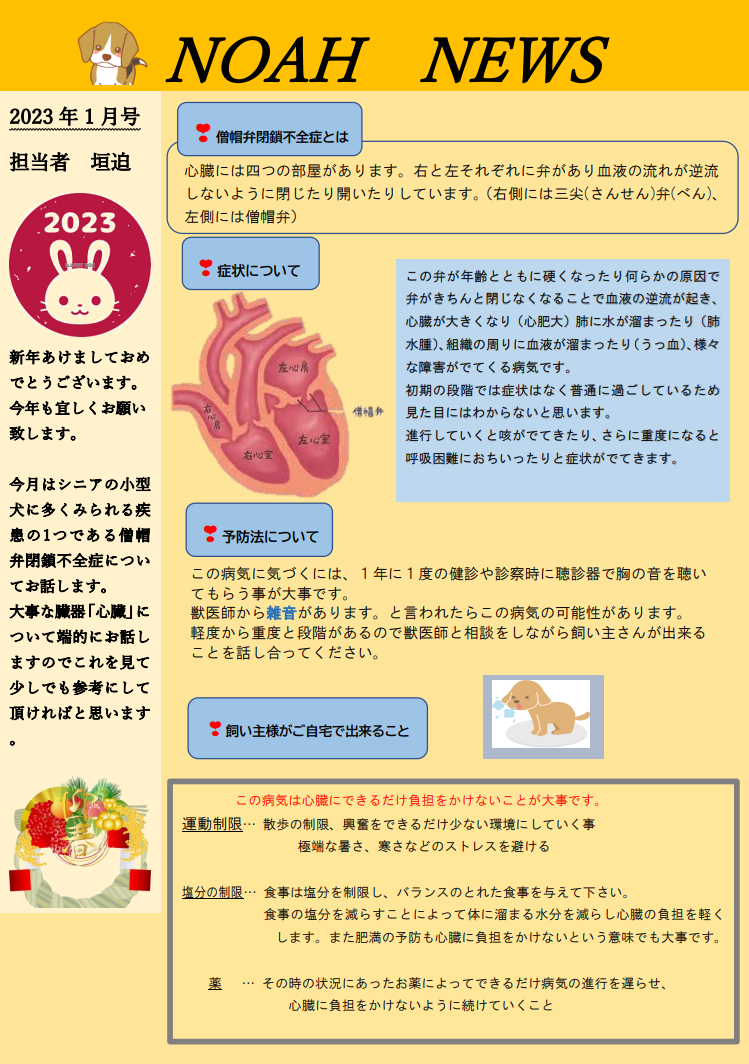 <月刊>NOAH　NEWS　2023年 1月号