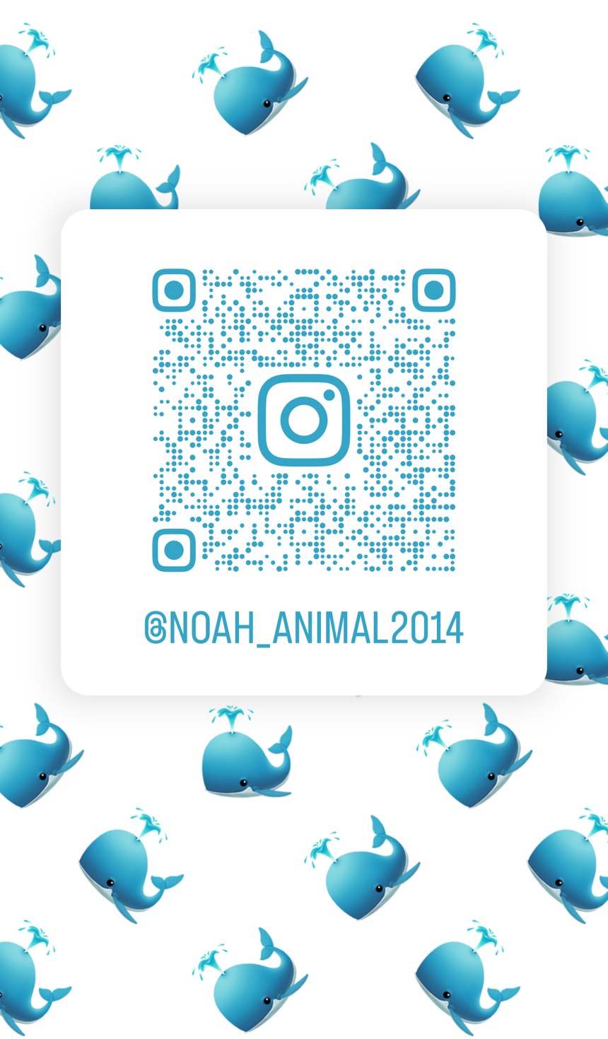 Instagram開設！