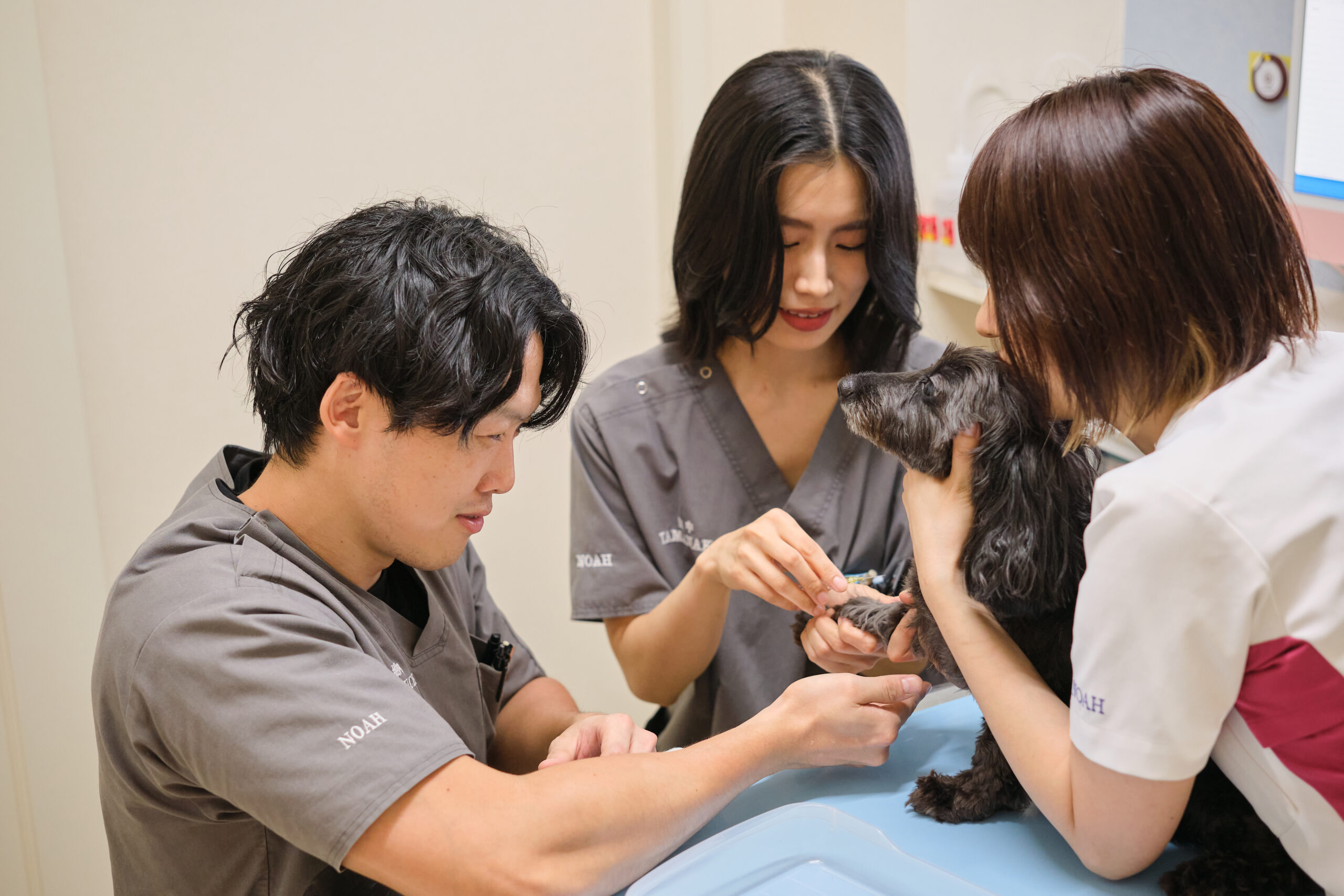 獣医師・看護師　募集中