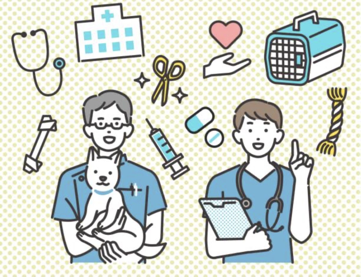 犬と猫の鎮静処置：目的、使用薬剤、副作用を詳しく解説