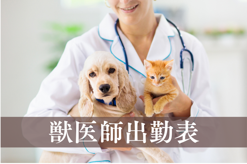 獣医師出勤表