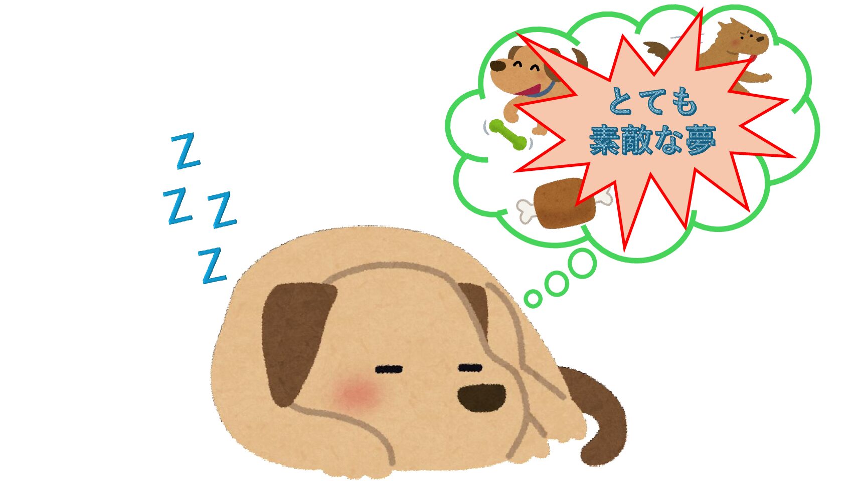 ワンちゃんの夜鳴きの薬